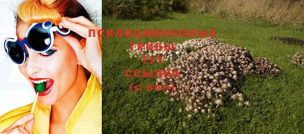 2c-b Алзамай