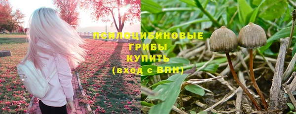 ГАЛЛЮЦИНОГЕННЫЕ ГРИБЫ Алексин