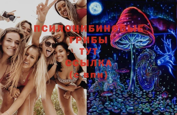 2c-b Алзамай