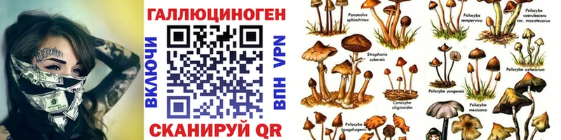 Галлюциногенные грибы GOLDEN TEACHER  где найти наркотики  ссылка на мегу ссылка  Сухиничи 